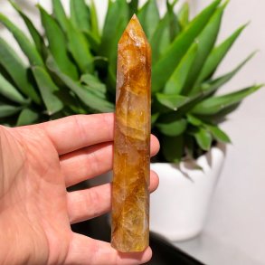 Golden healer trn 156mm