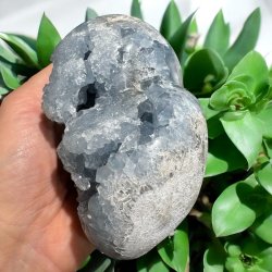 Celestit klynge hjerte