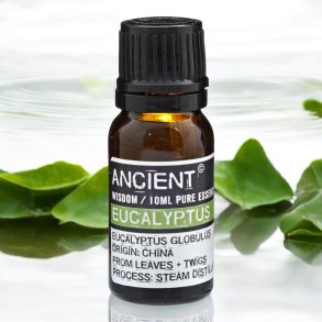 Ancient Wisdom terisk eucalyptus olie