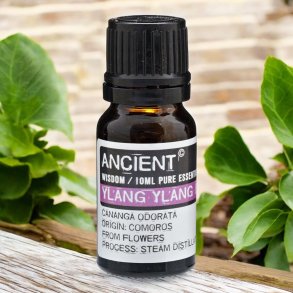 Ancient Wisdom terisk Ylang Ylang olie