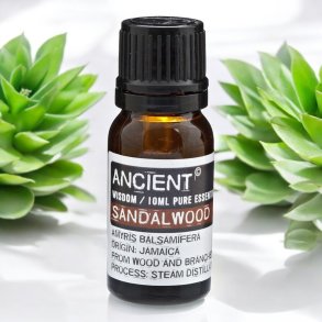 Ancient Wisdom terisk Sandalwood olie