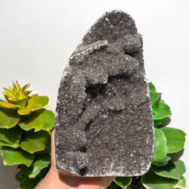 Gr ametyst klynge med poleret kanter