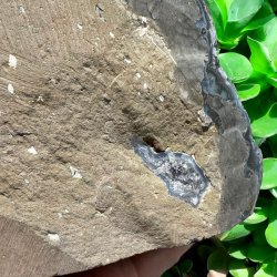 Gr ametyst klynge med poleret kanter