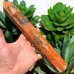 Solsten t�rn med apatit