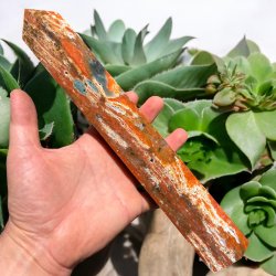 Solsten t�rn med apatit