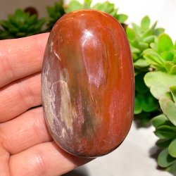 Forstenet tr� jumbo