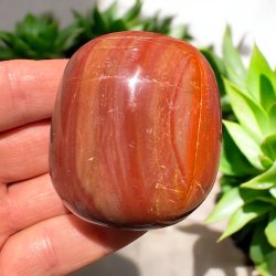 Forstenet tr� jumbo