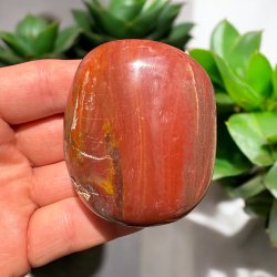 Forstenet tr� jumbo