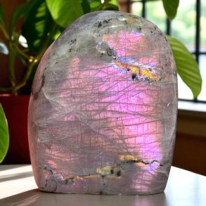 Lilla labradorit freeform