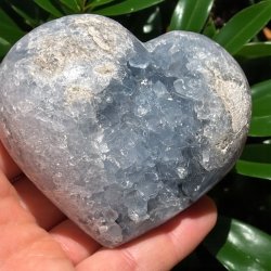 Celestit klynge hjerte