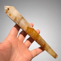 Golden healer stav med holder