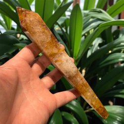 Golden healer stav med holder