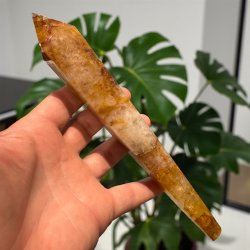 Golden healer stav med holder