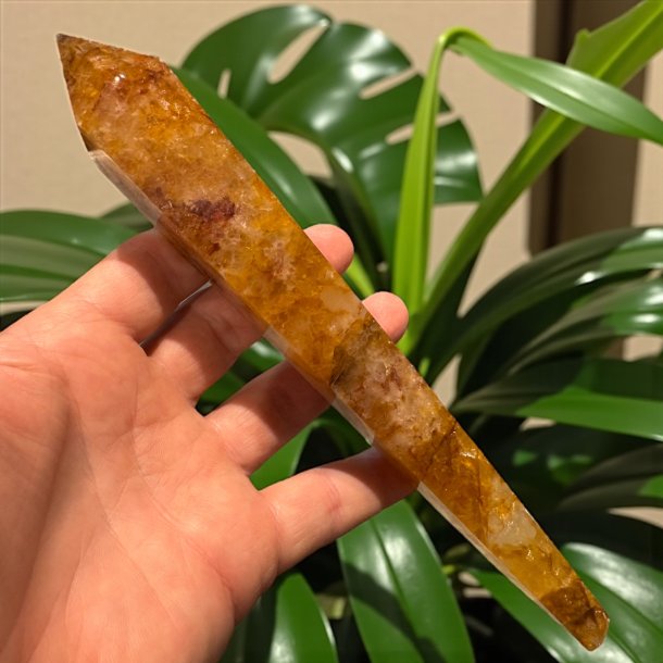 Golden healer stav med holder