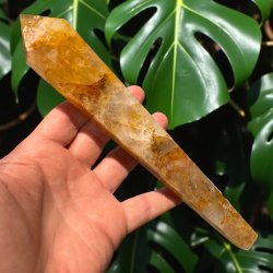 Golden healer stav med holder