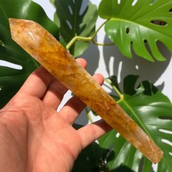 Golden healer stav med holder