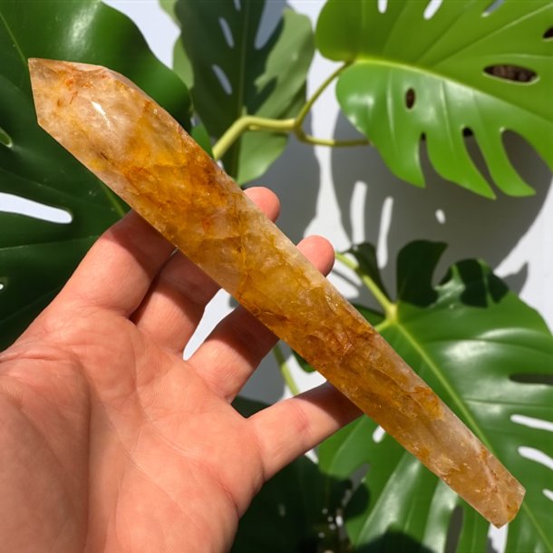 Golden healer stav med holder