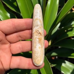 Caribisk calcit healerstav