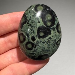 kambaba jaspis jumbo