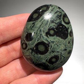 kambaba jaspis jumbo