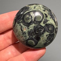 kambaba jaspis jumbo