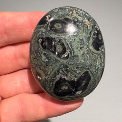 kambaba jaspis jumbo