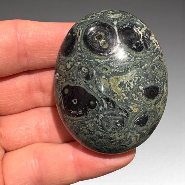 kambaba jaspis jumbo