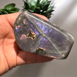 Lilla labradorit freeform