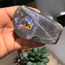 Lilla labradorit freeform