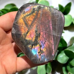 Lilla labradorit freeform