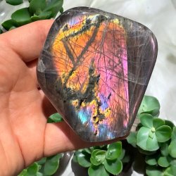 Lilla labradorit freeform