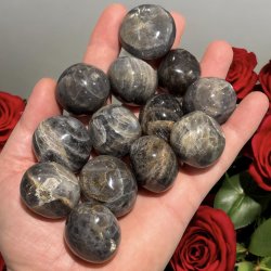 Sort mnesten lommesten xl