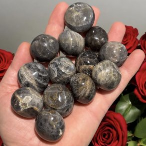 Sort mnesten lommesten xl