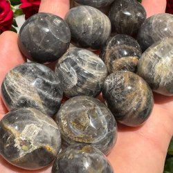 Sort mnesten lommesten xl