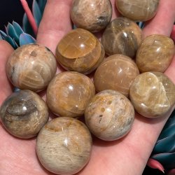 Fersken mnesten lommesten xl