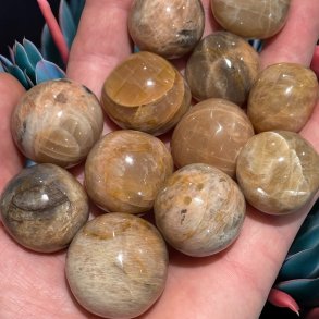 Fersken mnesten lommesten xl