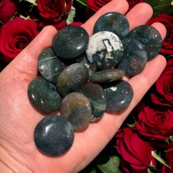 Mosagat lommesten linseformet