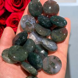 Mosagat lommesten linseformet