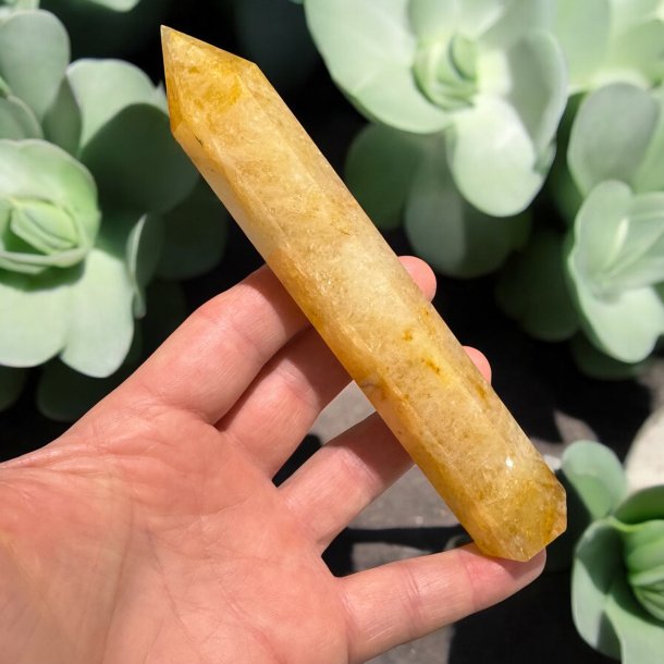 Golden healer trn 158mm