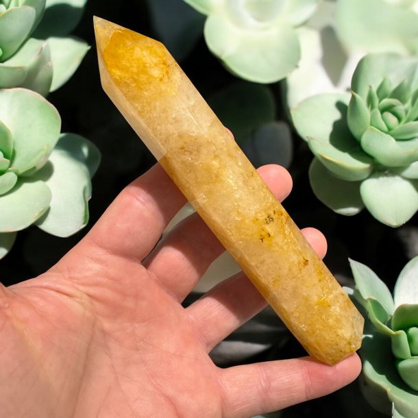 Golden healer trn 158mm