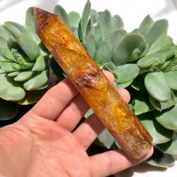 Golden healer trn 158mm