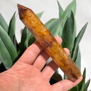 Golden healer trn 158mm