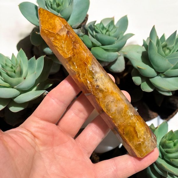 Golden healer trn 156mm