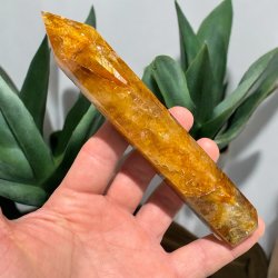 Golden healer trn 156mm