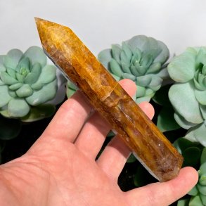 Golden healer trn 157mm