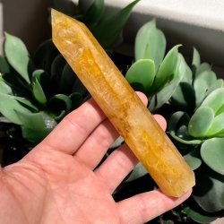 Golden healer trn 159mm