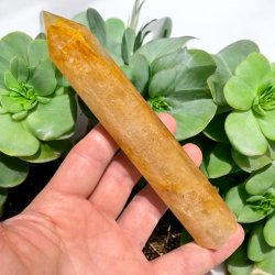 Golden healer trn 159mm