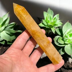 Golden healer trn 159mm