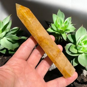 Golden healer trn 159mm