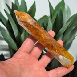 Golden healer t�rn 159mm